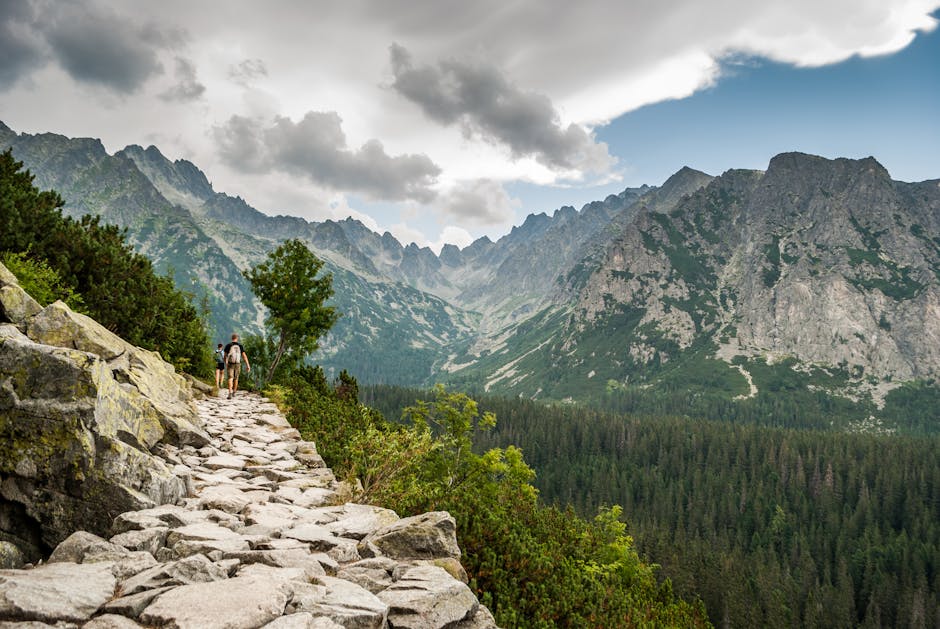 Explore the breathtaking trails of Vysoké Tatry in Slovakia, capturing stunning mountain and forest views